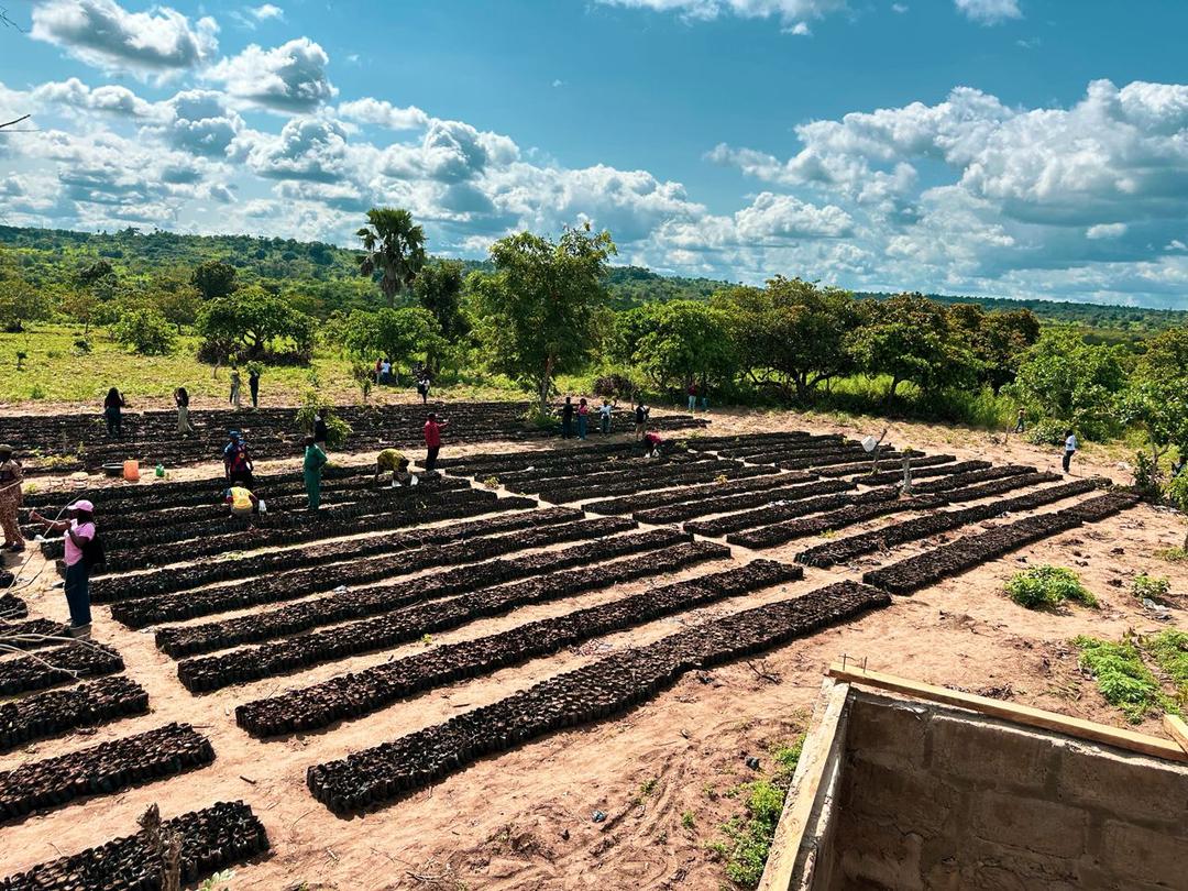 WhatsApp Image 2025-11-09 at 12.03.28 (1)