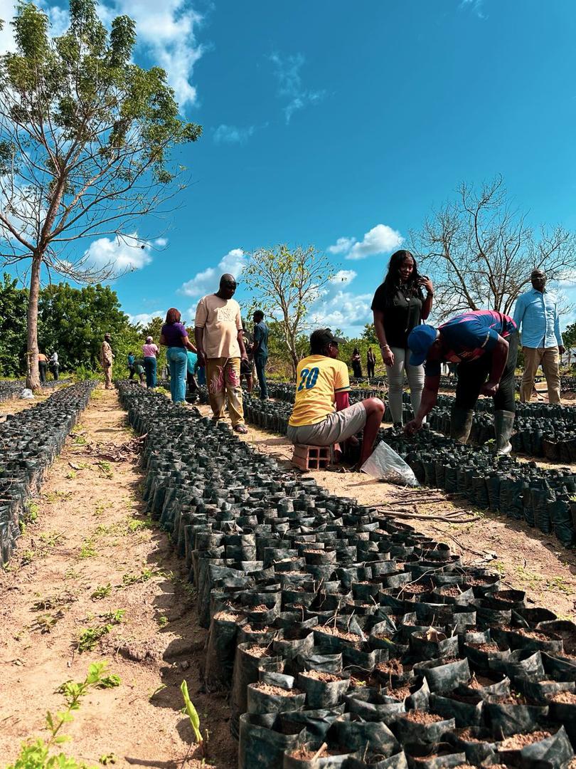 WhatsApp Image 2025-11-09 at 12.03.29 (1)